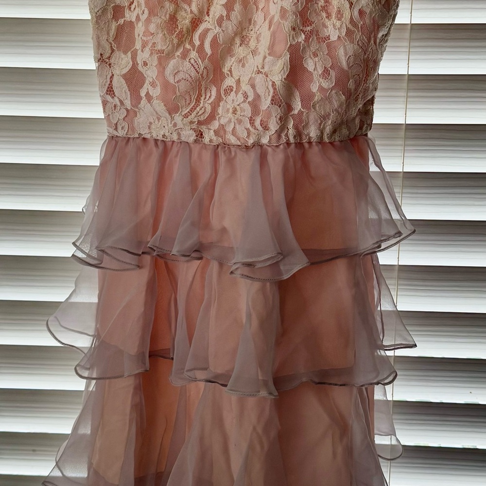 Pink Lace and Chiffon Vintage Dress